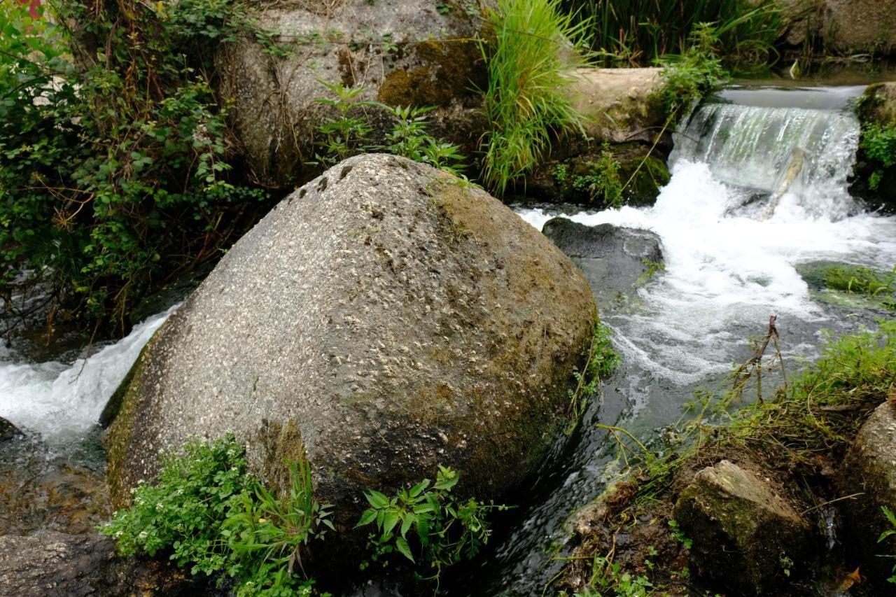 Refugio House Natura Moinho De Agua - Eco House Гимарайнш Экстерьер фото